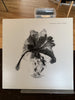 Prinzhorn Dance School - Seed Crop Harvest 7"