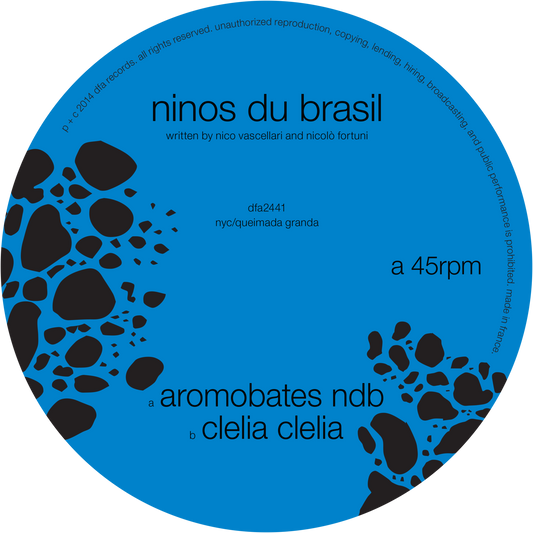Ninos Du Brasil - Aromobates NDB 12"